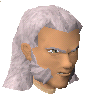 File:Tarn Razorlor chathead.png