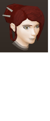 File:Female hair pinned bun.png