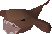Thumbnail for version as of 23:37, 8 January 2024