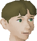 File:Tolna boy chathead.png