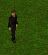 File:Calling beads summon.gif