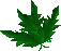 Thumbnail for version as of 23:27, 8 January 2024