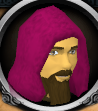 File:H.A.M. Guard chathead.png