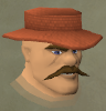 File:Orange Flame director chathead.png