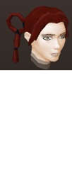 File:Female hair ring braids.png