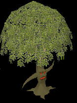 File:Willowent.png