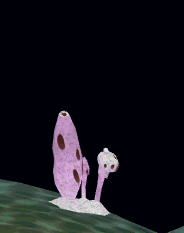 File:Fungal growth.gif