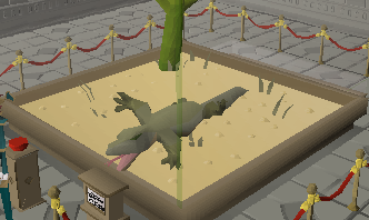 File:Lizard display.png
