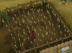 File:CircleImp.png