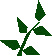 File:Equa leaves detail.png
