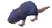Giant rat (before)