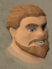 File:Myndill chathead.png