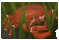 Thumbnail for version as of 23:34, 8 January 2024