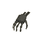 Skeletal Hand