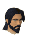 File:General hining chathead.png