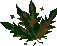 Thumbnail for version as of 23:36, 8 January 2024