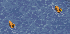 Thumbnail for version as of 23:23, 8 January 2024