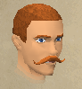 File:Larry the Lumberjack chathead.png