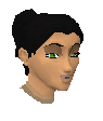 File:Kamfreena chathead.png