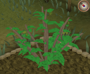 File:Redberry4.png