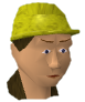 File:Fairy fixit chathead.png