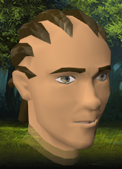 File:Falcon Claw hairstyle.png
