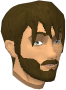 File:Rommik chathead.png