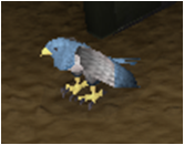 File:Sara bird.png