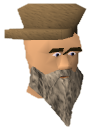 File:Blandebir chathead old.png
