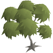 File:Eucalyptus Tree.png