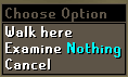 File:Examine nothing.png