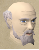 File:Flaygian chathead.png