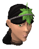 File:Scalectrix chathead.png