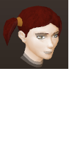 File:Female hair pigtails.png