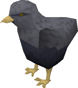 File:Black-mohawked-raven-chick.png