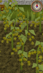 File:Yanillian7.png