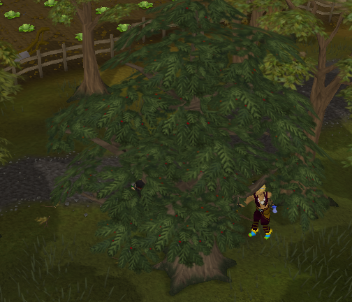 File:Yew tree.png