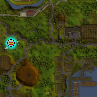 File:Start falador.jpg