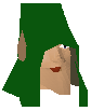File:Gulluck chathead.png
