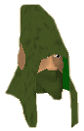 File:Karam chathead.png