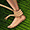 Thumbnail for version as of 23:27, 8 January 2024