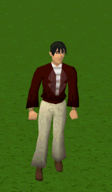 File:Cosmic gloves equip.gif