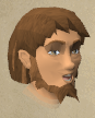 File:Ethar chathead.png