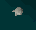 Thumbnail for version as of 23:28, 8 January 2024