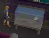 File:Fishtank.png