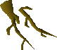 File:Maple roots detail.png