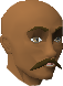 File:Vigroy chathead.png
