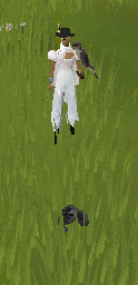 File:Falconry Extended.gif