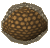 A detailed image of a gnomeball