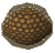 Thumbnail for version as of 23:32, 8 January 2024
